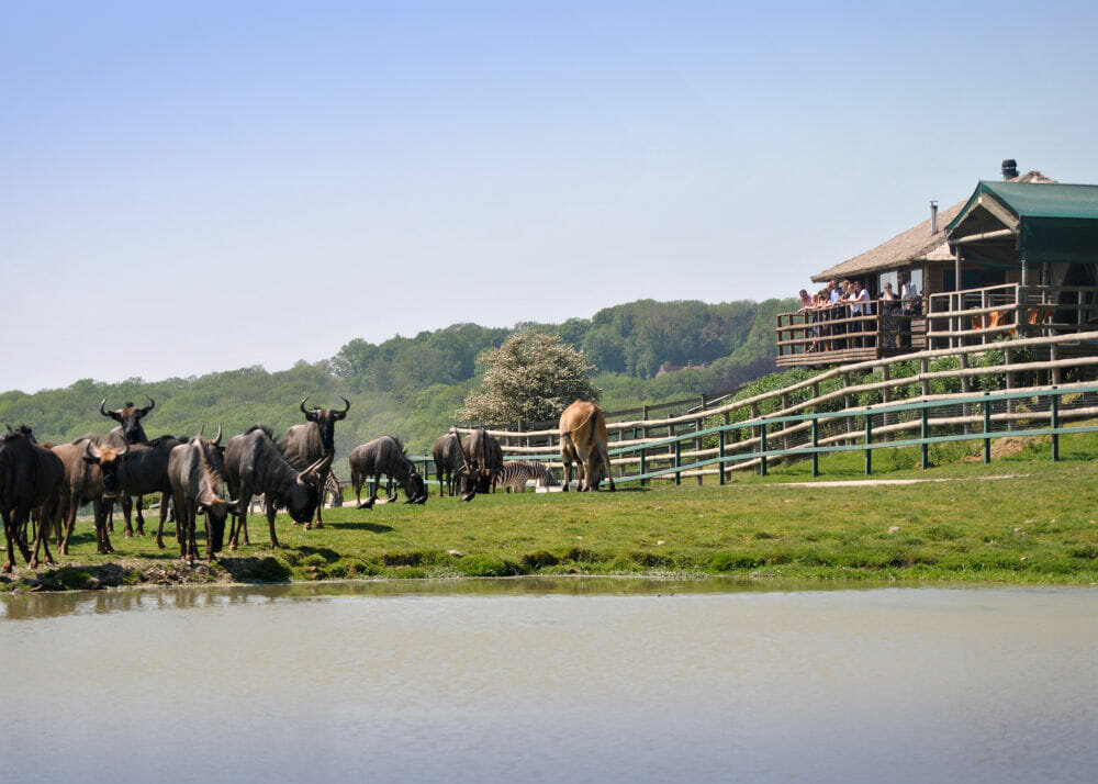 Sparkling Silver Award: Livingstone Lodge Scoops Silver Award For Tourism Experience of the Year