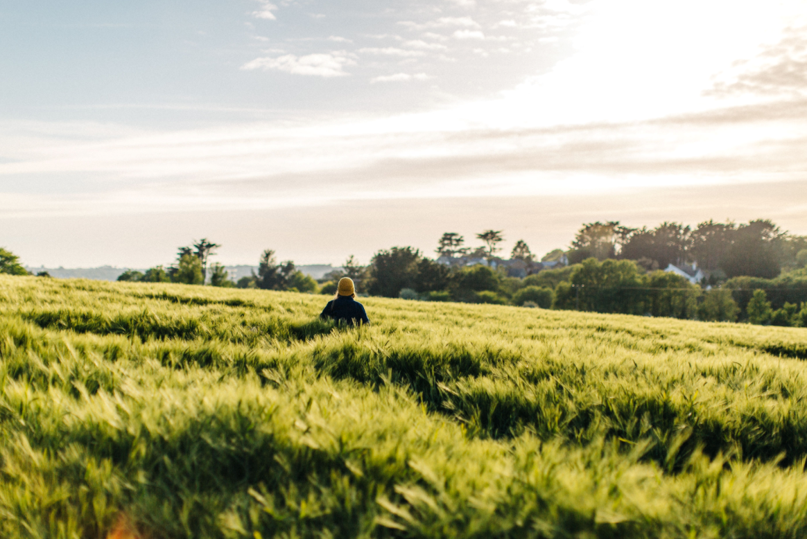 Local community invited to planning consultation at Trefresa Farm, north Cornwall