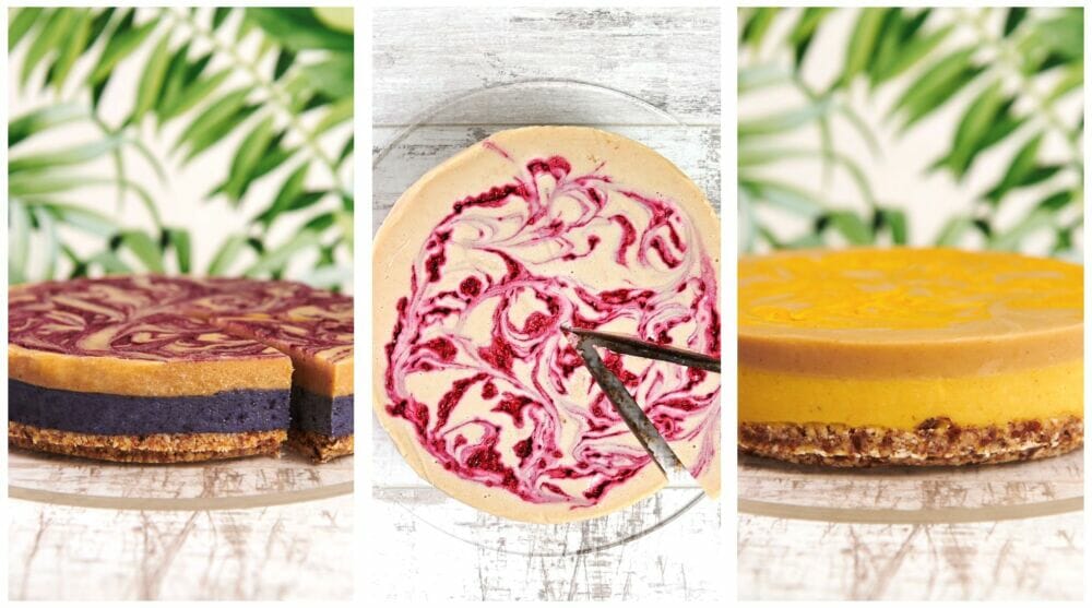 WILD HEALTH EXPANDS NATIONWIDE DIRECT-TO-CUSTOMER VEGAN CHEESECAKE RANGE IN TIME FOR VEGANUARY