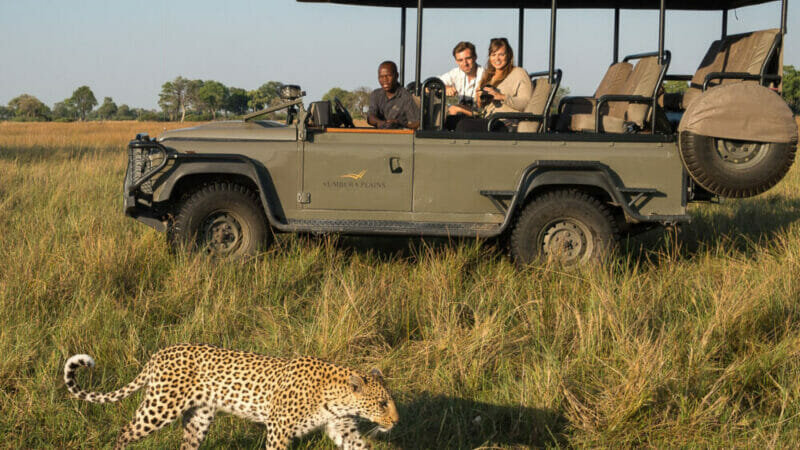 Wilderness Safaris Vumbura Plains Camp Undergoes Extensive Refurbishment