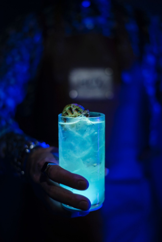 Cool Off Within the Hux Hotel’s Mysterious Cocktail and Sushi Den