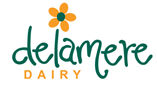 DELAMERE LAUNCHES 240ML BOTTLES OF ITS DELICIOUS FLAVOURED MILK RANGE  AWARD-WINNING BEST SELLER NOW AVAILABLE FOR CATERING AND HOSPITALITY