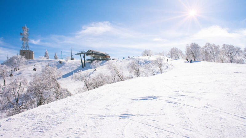 I’m a Ski Expert… Here Are the Lesser-Known Powder-Snow Spots You Need to Visit in Japan