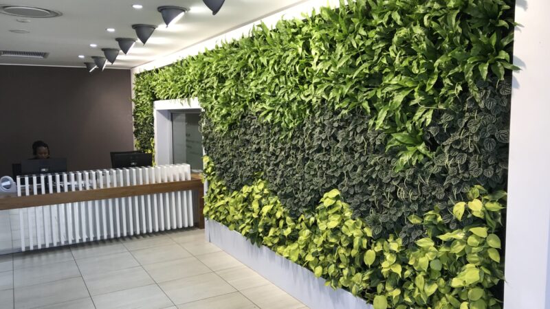 Fire hazard: Cheap plastic living walls could cost you your business and more