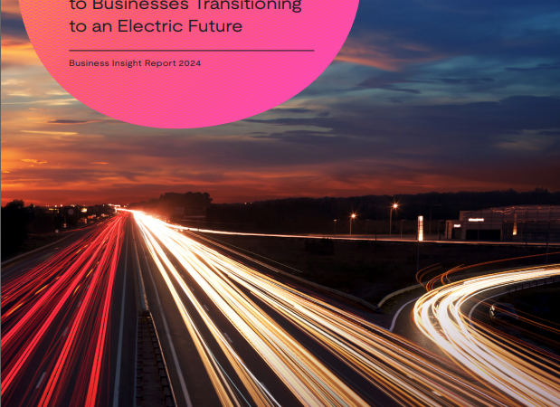 Retail, hospitality and leisure businesses hungry to switch to an EV future despite regulatory ‘potholes’