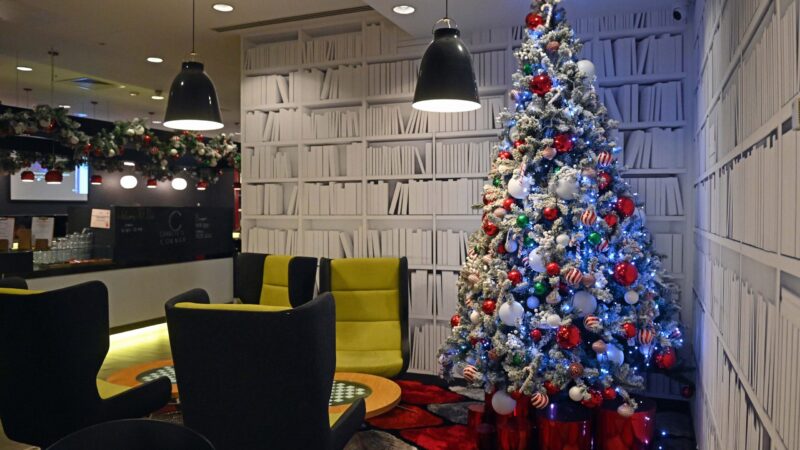 Greenleaf launches 2024 Christmas tree range